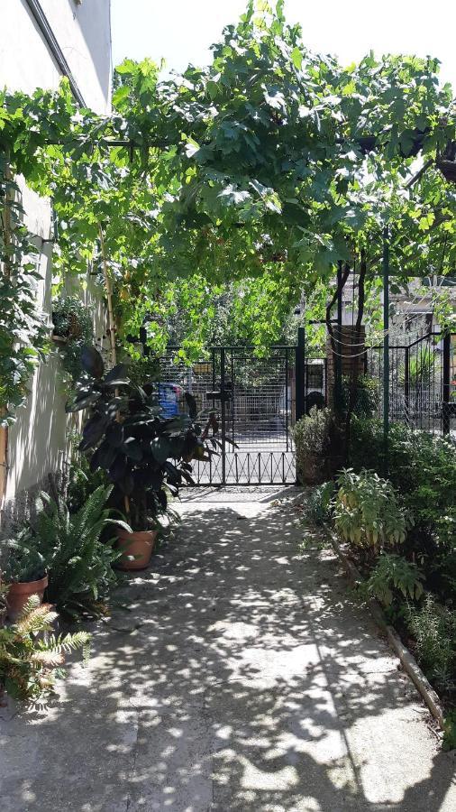 Casa Sofia - Appartamento Con Parcheggio Riservato 테르니 외부 사진